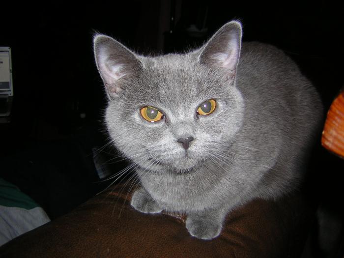 foto k příspěvku  od filip146