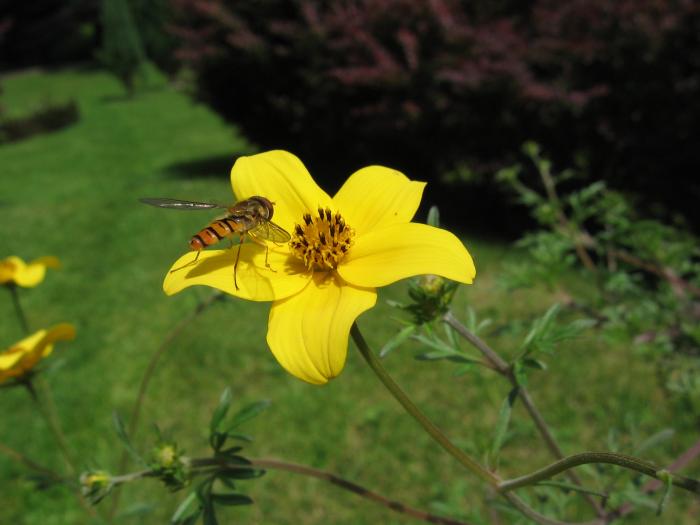 foto k příspěvku  od stasan