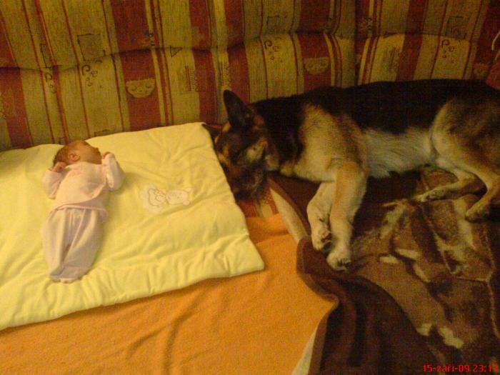 foto k příspěvku  od ACEMajky