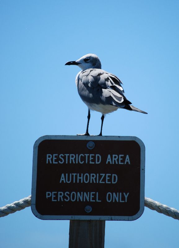 foto k příspěvku  od MaxxT