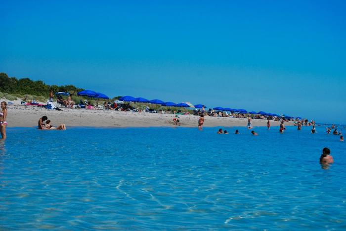 foto k příspěvku  od MaxxT