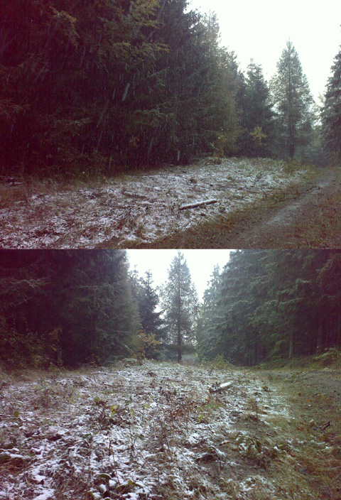 foto k příspěvku  od Šestikule