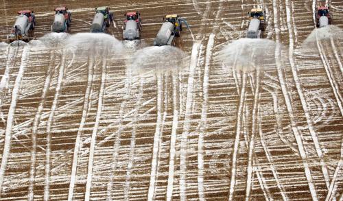 foto k příspěvku  od JP