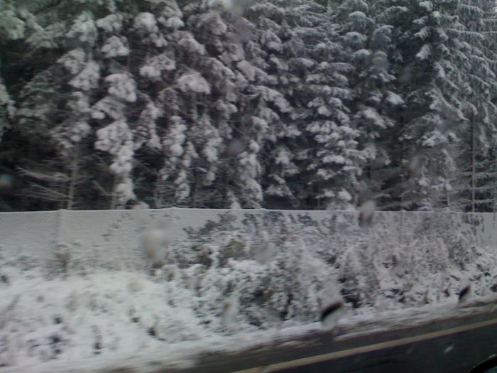 foto k příspěvku  od Luke-Jeep