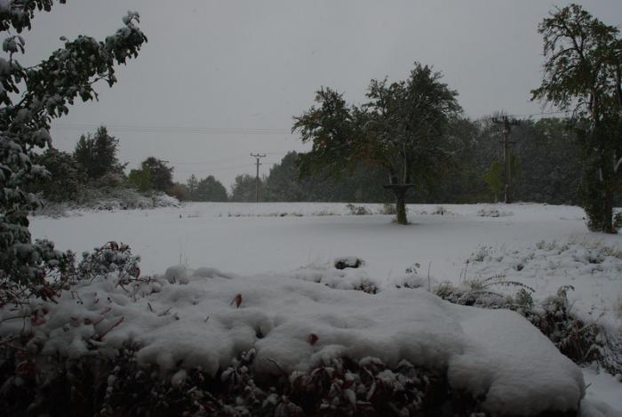 foto k příspěvku  od u-geen