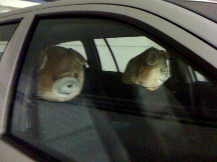 foto k příspěvku  od muSlim