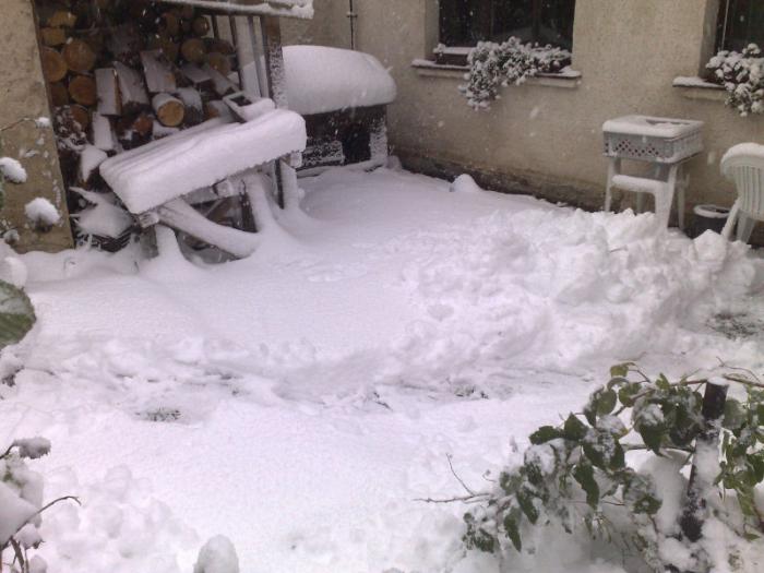 foto k příspěvku  od Arnie_one