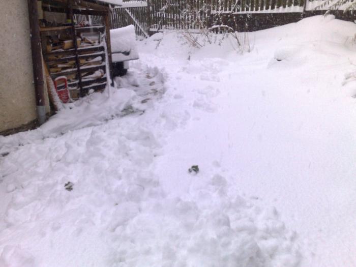 foto k příspěvku  od Arnie_one