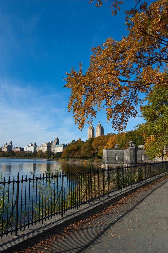 foto k příspěvku  od KFL