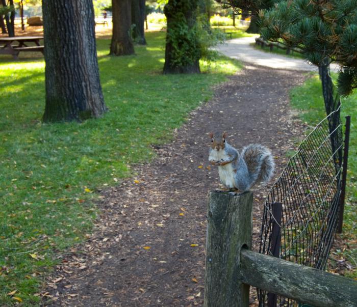 foto k příspěvku  od KFL