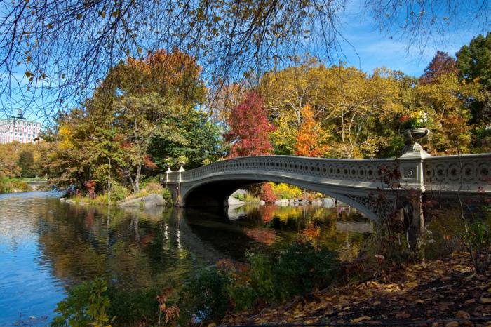 foto k příspěvku  od KFL