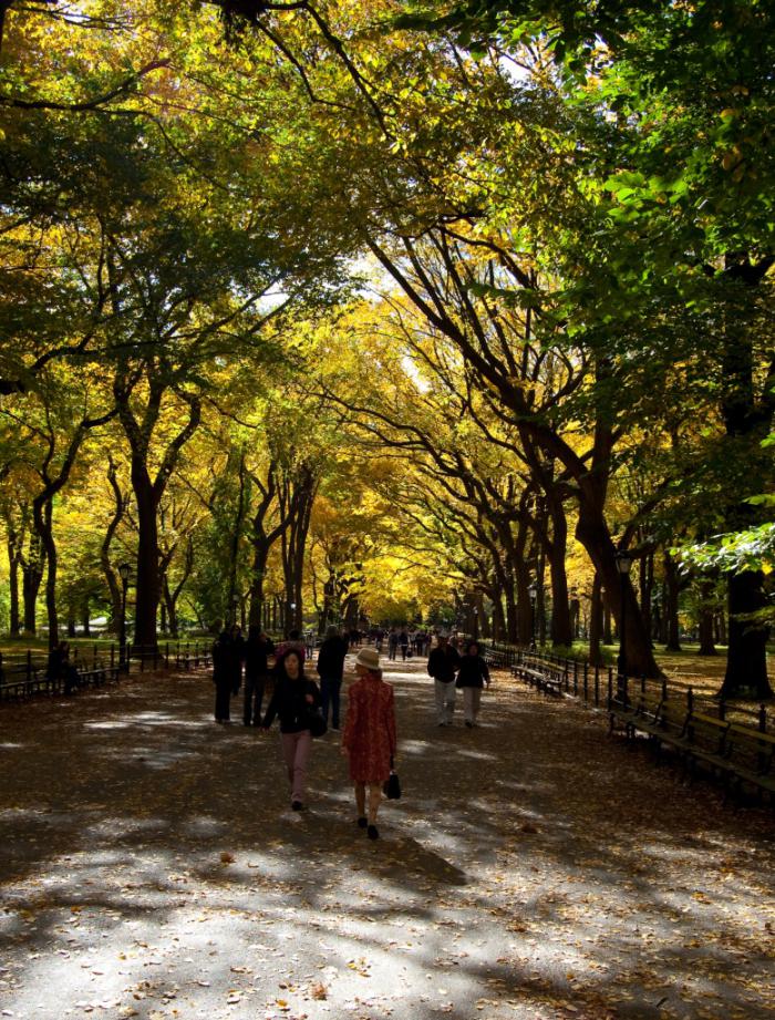 foto k příspěvku  od KFL