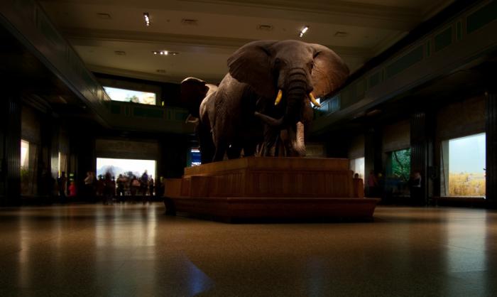 foto k příspěvku  od KFL