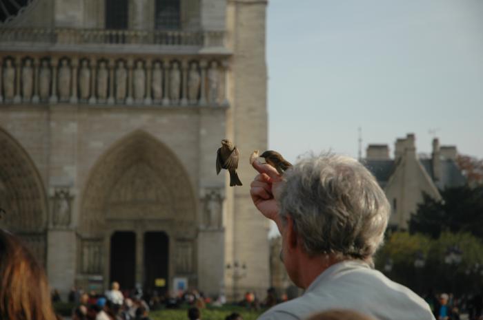 foto k příspěvku  od CervinVega
