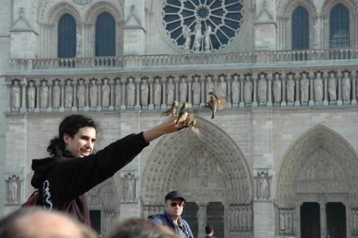 foto k příspěvku  od CervinVega