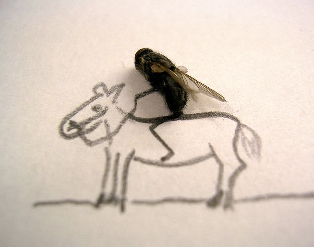 foto k příspěvku  od Thullo