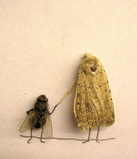 foto k příspěvku  od Thullo