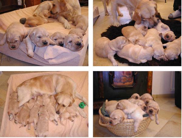 foto k příspěvku  od ikosp