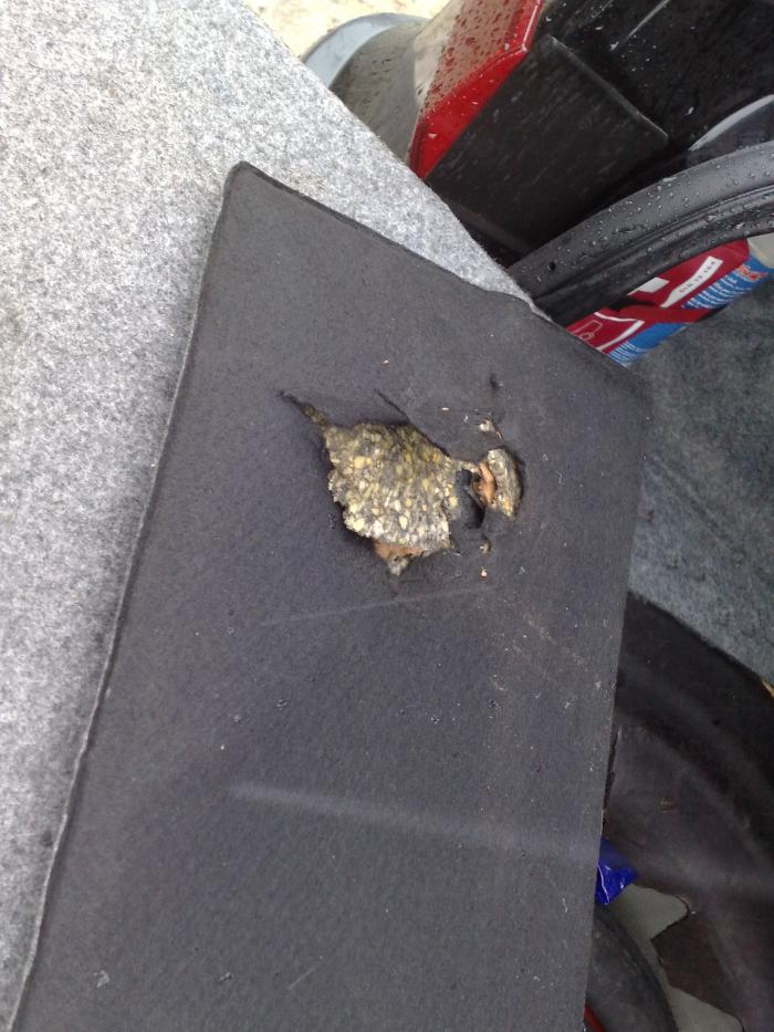 foto k příspěvku  od zipp