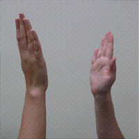 foto k příspěvku  od kral007 (eXtrem-audio.cz)