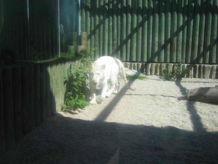 foto k příspěvku  od cob1,2HTP:)