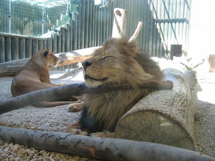 foto k příspěvku  od cob1,2HTP:)