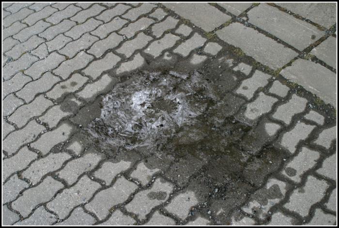 foto k příspěvku  od TheTimo