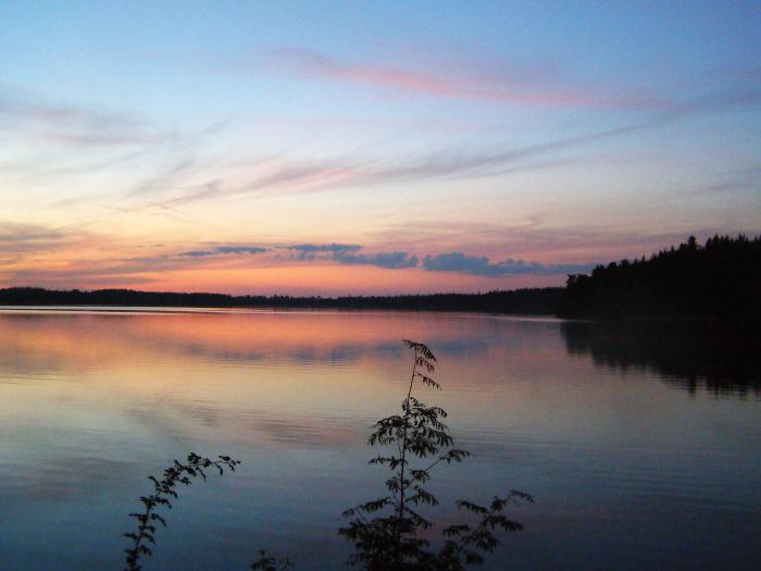 foto k příspěvku  od Freerider