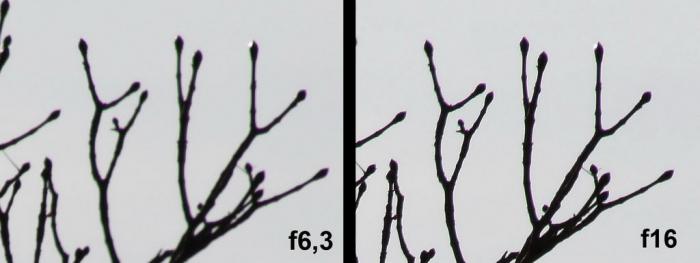 foto k příspěvku  od Crimson