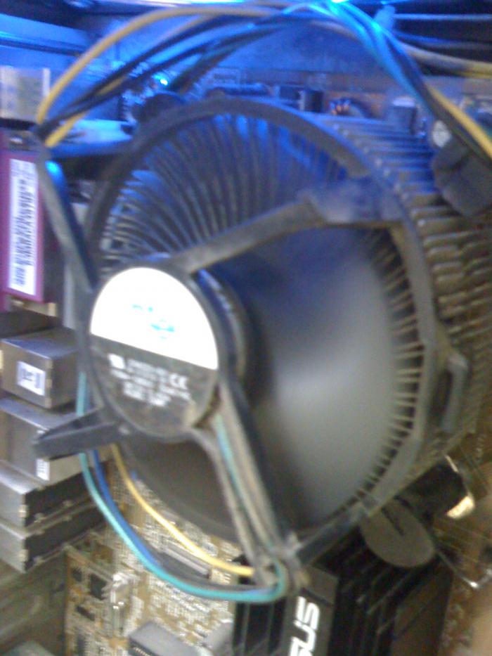 foto k příspěvku  od johanik