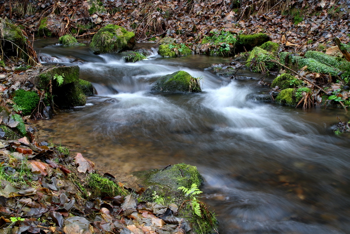 foto k příspěvku  od Crimson