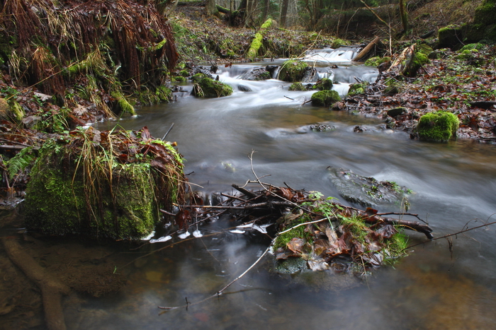 foto k příspěvku  od Crimson