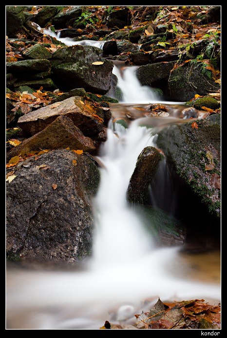 foto k příspěvku  od kondor