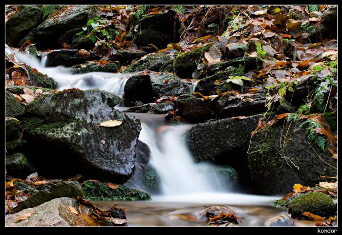 foto k příspěvku  od kondor