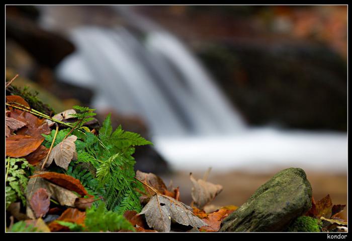 foto k příspěvku  od kondor