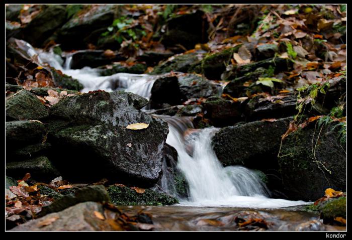 foto k příspěvku  od kondor