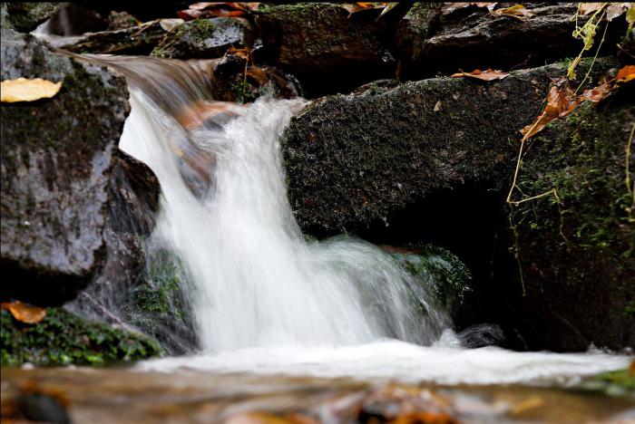 foto k příspěvku  od kondor