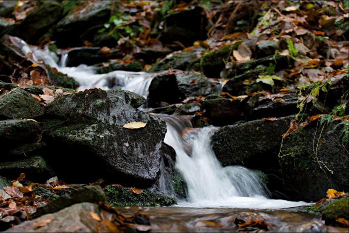 foto k příspěvku  od kondor