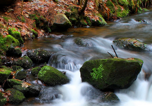 foto k příspěvku  od Crimson