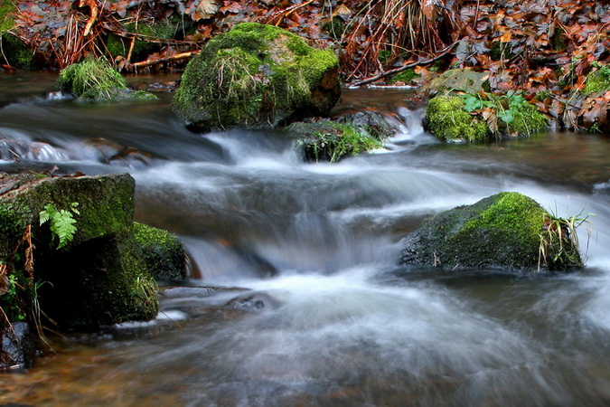 foto k příspěvku  od Crimson
