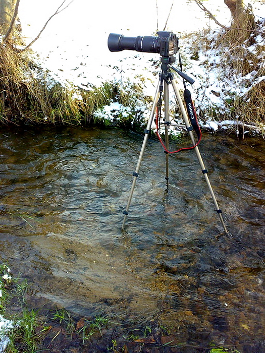 foto k příspěvku  od Crimson