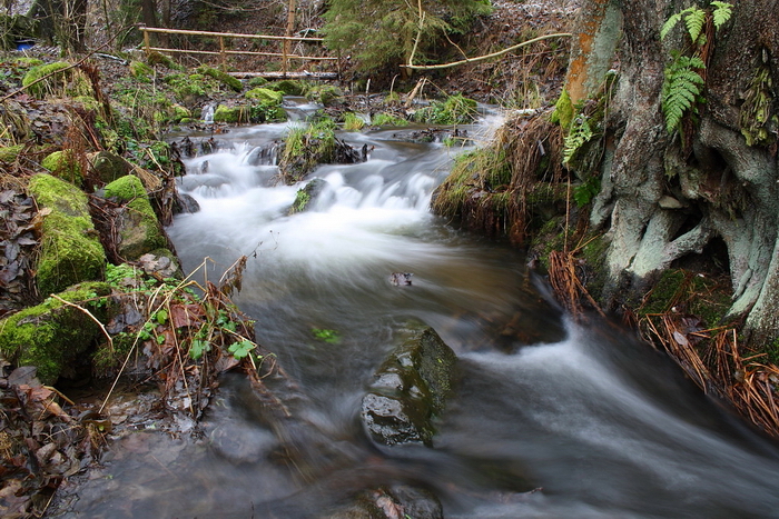 foto k příspěvku  od Crimson