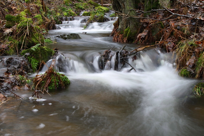 foto k příspěvku  od Crimson