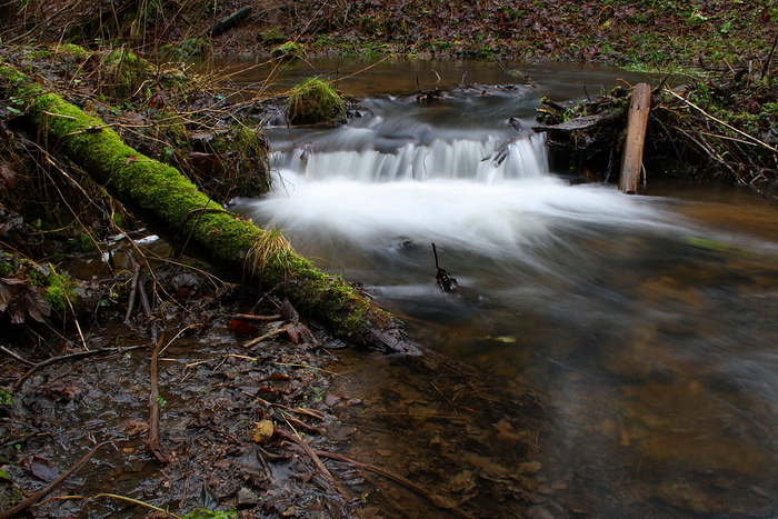 foto k příspěvku  od Crimson