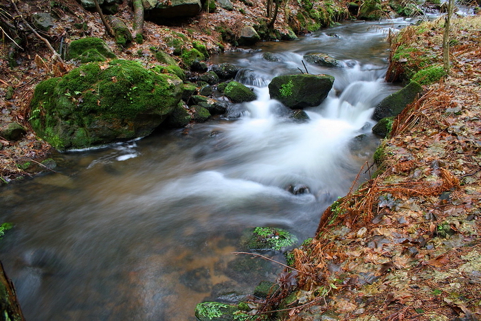 foto k příspěvku  od Crimson