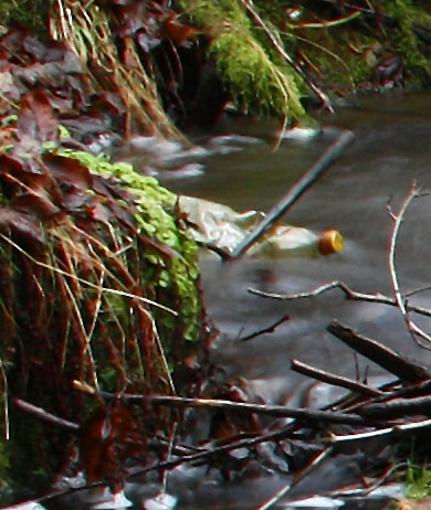 foto k příspěvku  od Crimson