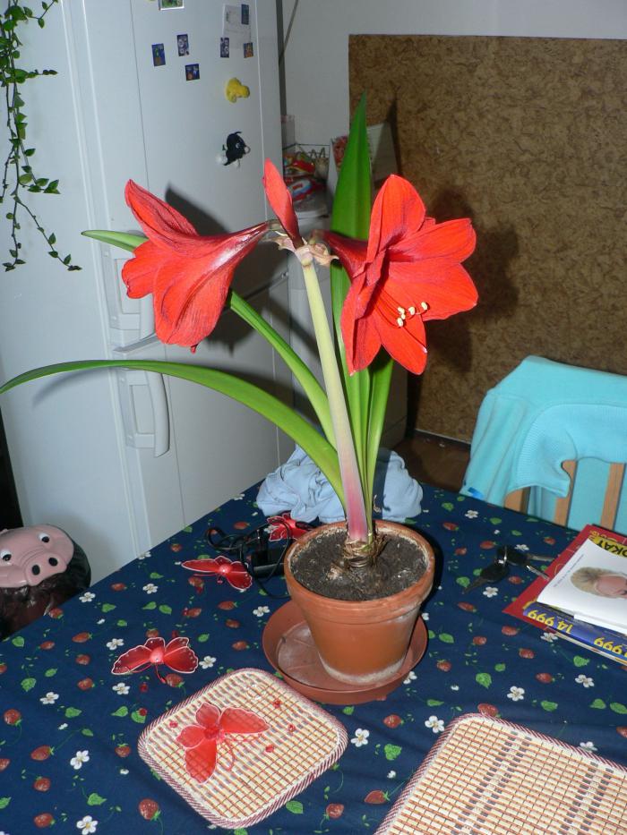 foto k příspěvku  od Route88