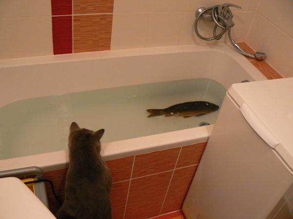 foto k příspěvku  od Milhauzz