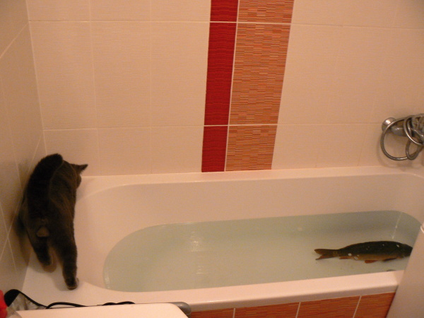 foto k příspěvku  od Milhauzz