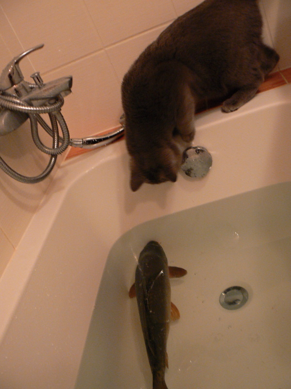 foto k příspěvku  od Milhauzz